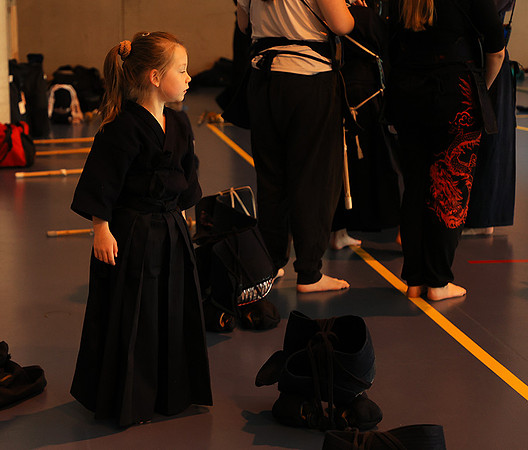 Kendo