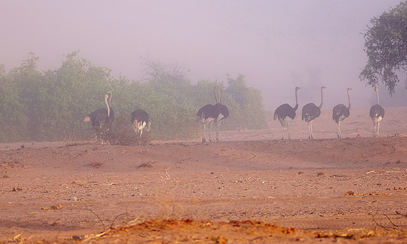 Damaraland