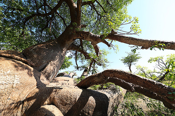 Botswana