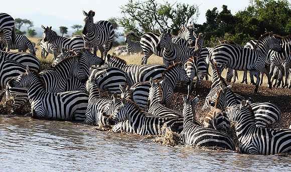 Serengeti - Grumeti Private Reserve