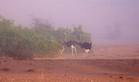 Damaraland