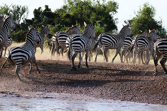 Serengeti - Grumeti Private Reserve