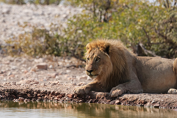 Ongava Private Reserve