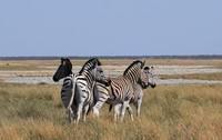 Nxai Pan