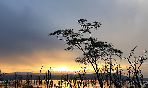 Lake Nakuru - sunrise