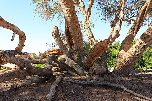 Damaraland