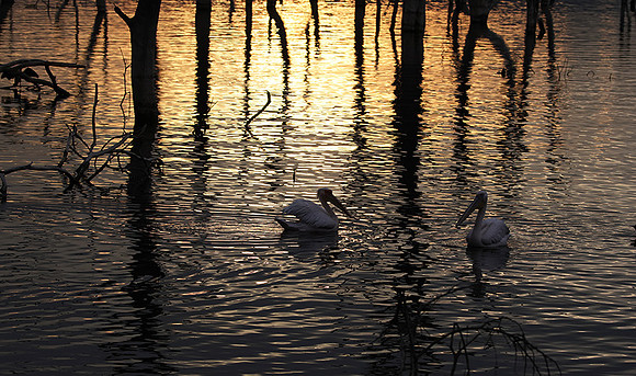Lake Nakuru