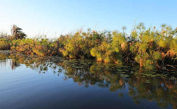Delta of Okavango