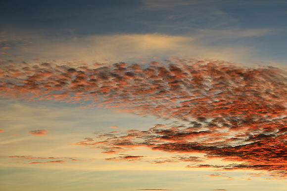 Sunrise Borana