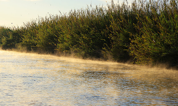 Delta of Okavango
