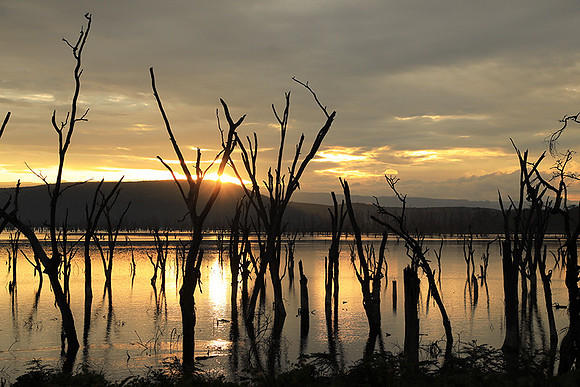 Lake Nakuru - sunrise