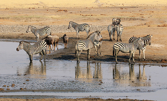 Hwange National Park