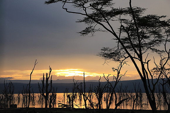 Lake Nakuru - sunrise