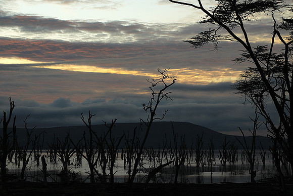Lake Nakuru - sunrise