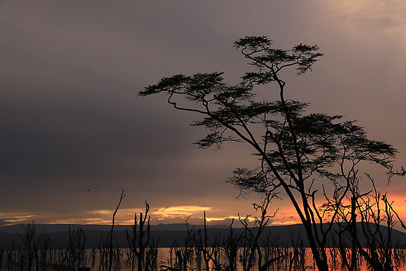 Lake Nakuru - sunrise