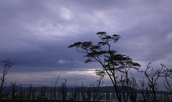 Lake Nakuru - sunrise