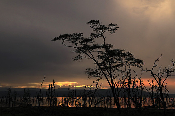 Lake Nakuru - sunrise
