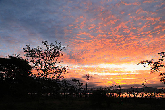 Lake Nakuru - sunrise