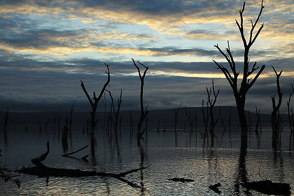 Lake Nakuru - sunrise