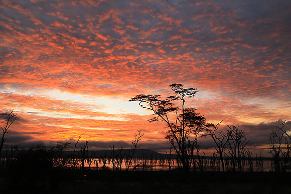 Lake Nakuru - sunrise