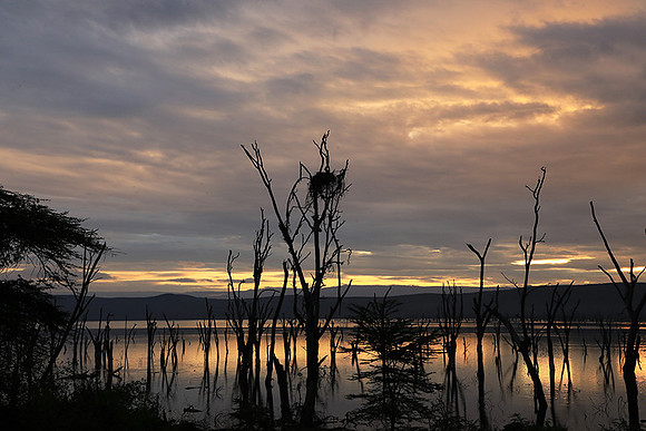 Lake Nakuru - sunrise