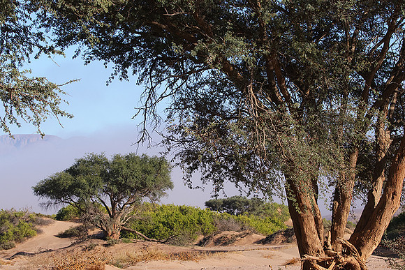 Damaraland