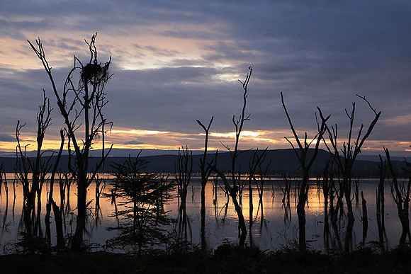 Lake Nakuru - sunrise