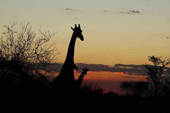 Sunset - Tau Pan