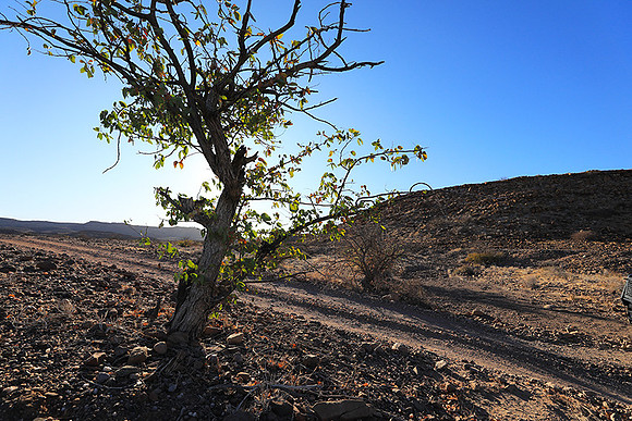 Damaraland