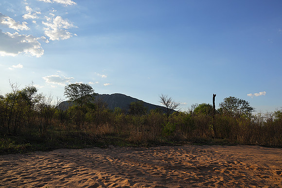 Delta of Okavango