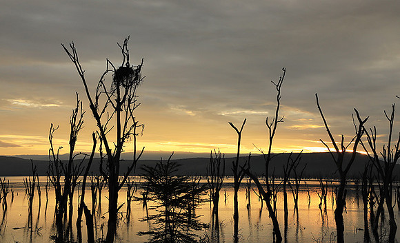 Lake Nakuru - sunrise