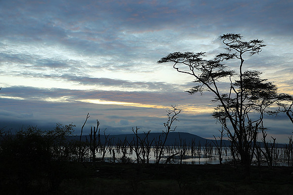 Lake Nakuru - sunrise