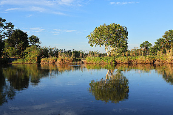 Delta of Okavango