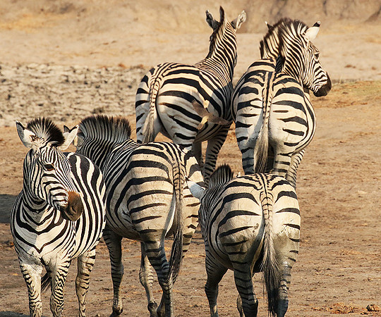 Hwange National Park