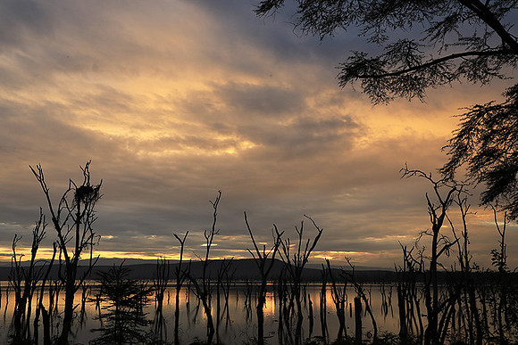 Lake Nakuru - sunrise