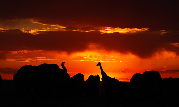 Sunset - Nxai Pan