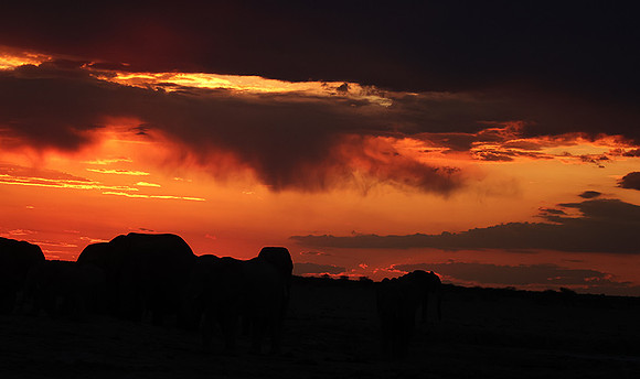 Sunset - Nxai Pan