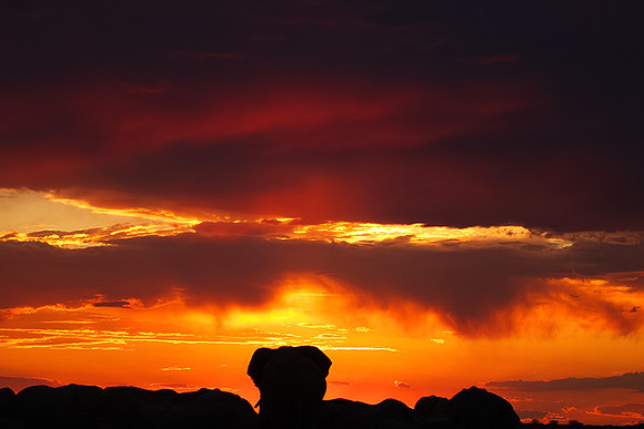 Sunset - Nxai Pan