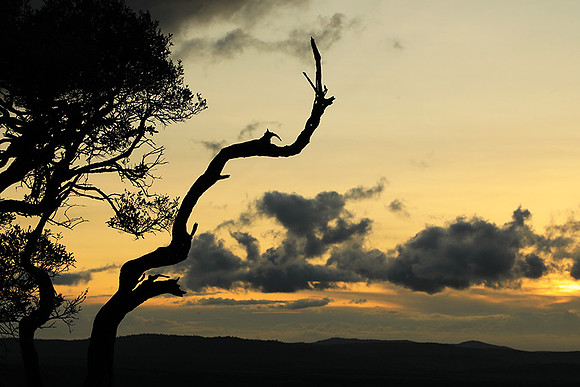 Sunset - Borana