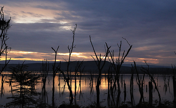 Lake Nakuru - sunrise