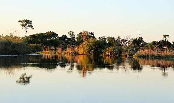 Delta of Okavango