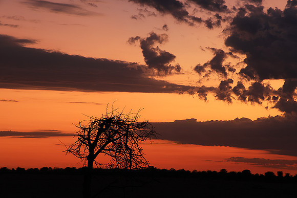 Sunrise - Nxai Pan