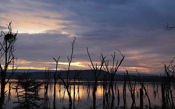 Lake Nakuru - sunrise