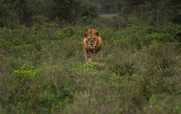 Nakuru
