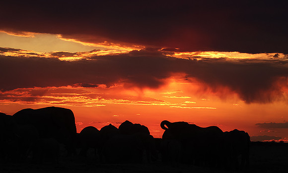 Sunset - Nxai Pan