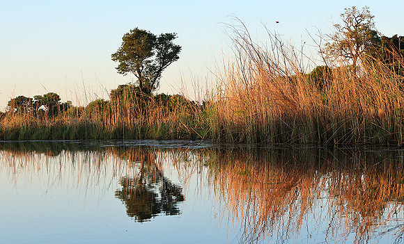 Delta of Okavango