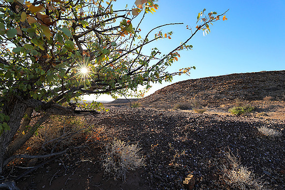 Damaraland