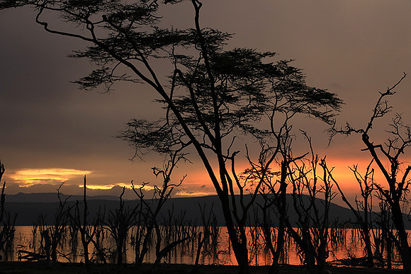 Lake Nakuru - sunrise