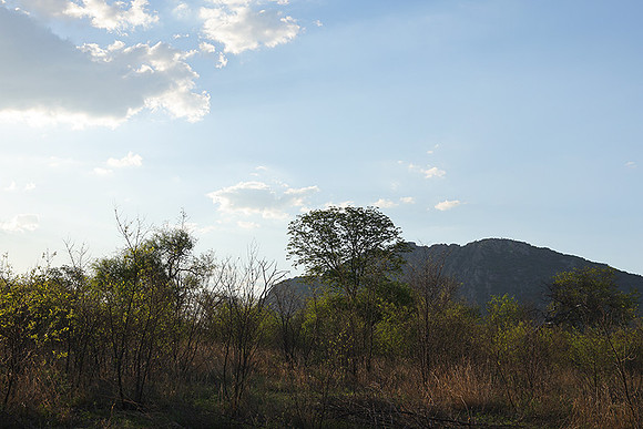 Delta of Okavango