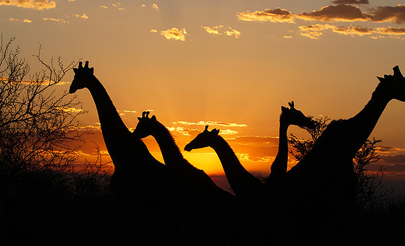 Sunset - Tau Pan